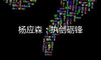 杨应森：执剑砺锋